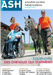 Des chevaux qui soignent