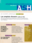 Les emplois d'avenir (Suite et fin)