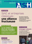 SIAE et entreprises classiques : Une alliance fructueuse